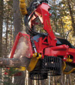 Cabeça de Corte SP 661 LF Máquinas Forestais